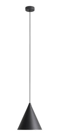 Aldex LAMPA WISZĄCA FORM BLACK 1108G1
