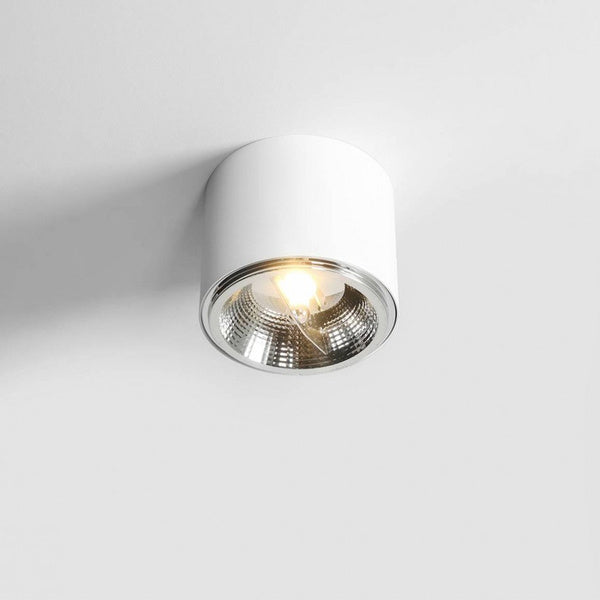 Aldex Lampa sufitowa BOT 1046PL_G, biały, 1x35W GU10