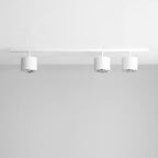 Aldex Lampa sufitowa BOT 3, 1046PL_E, biała, 3x35W GU10