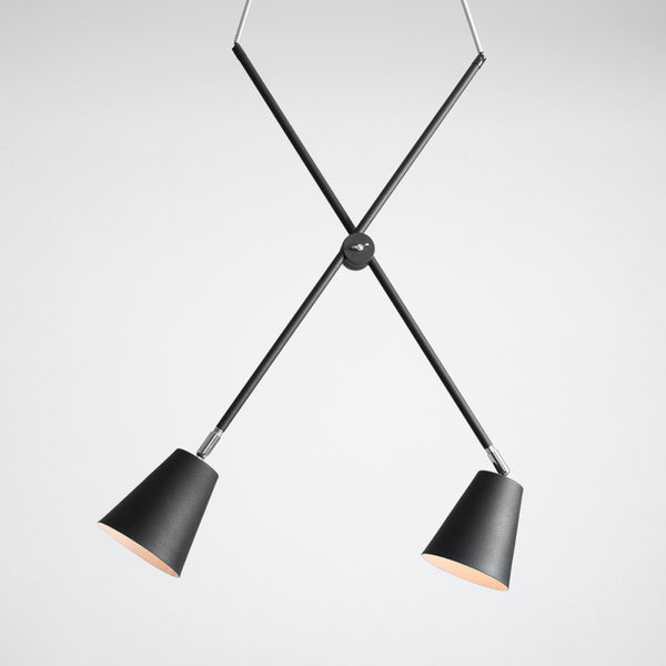 Aldex Lampa wisząca ARTE 2, 1008H1, czarna, 2x60W E27