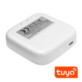 Bramka sterująca 2,4G FUT090 | DML1602