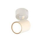 Lamp ścienna/sufitowa SNOW, biała, 1x50W GU10
