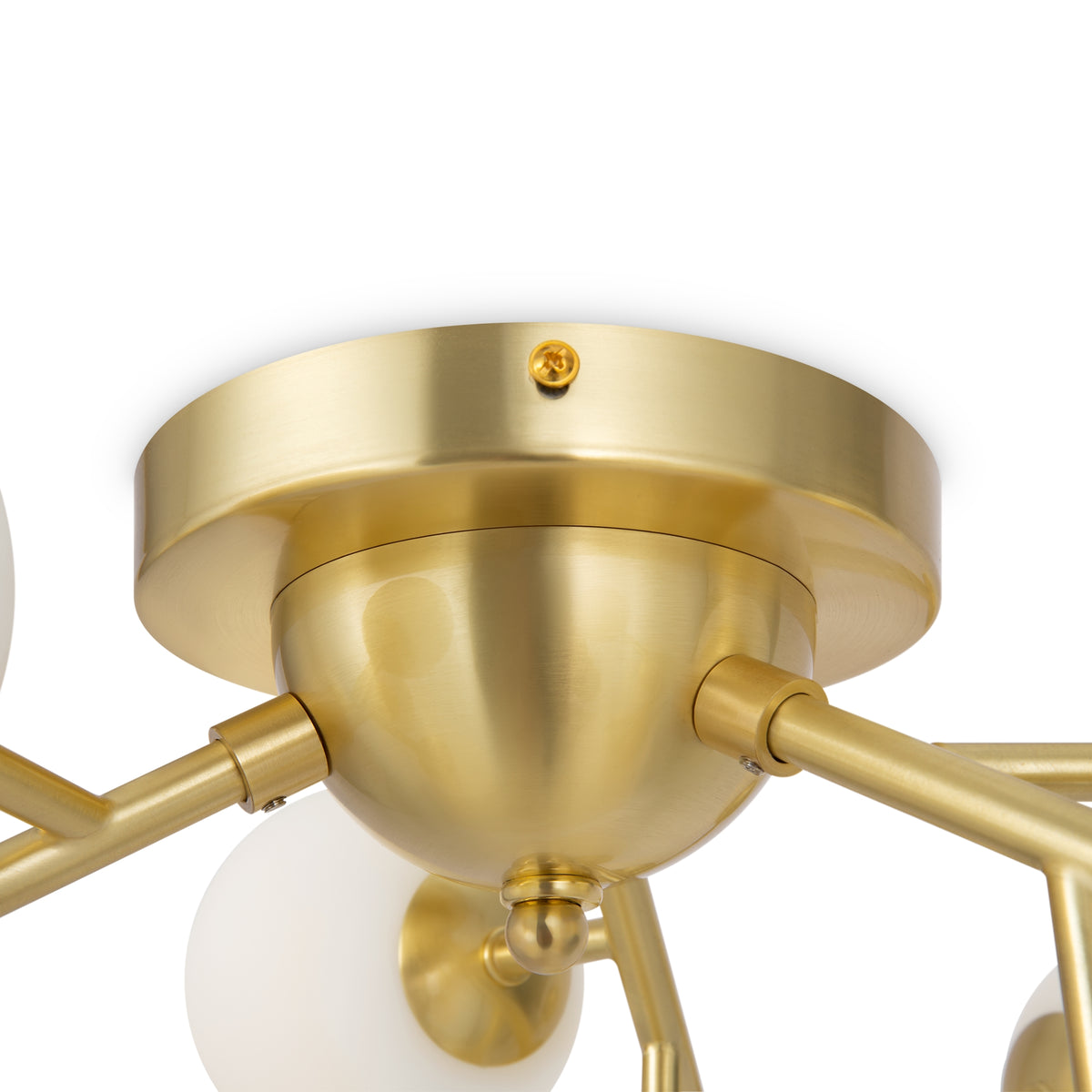 Lampa sufitowa Maytoni Dallas IP20 12xG9 MOD545CL-12BS | Złoto