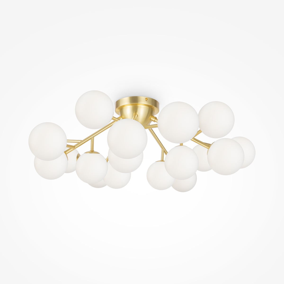 Lampa sufitowa Maytoni Dallas IP20 20xG9 MOD545CL-20BS | Złoto