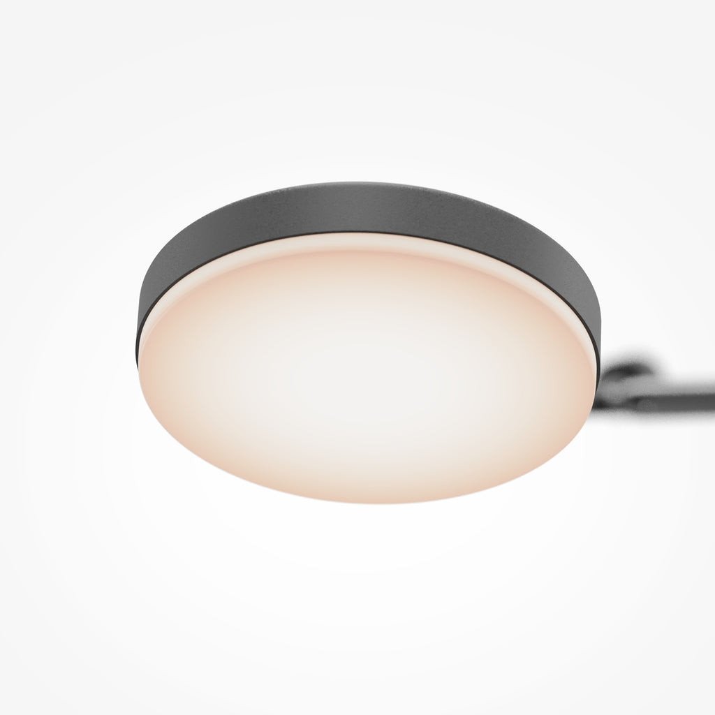 Lampa sufitowa Maytoni Fad IP20 x MOD070CL-L15B3K1 | Czarny