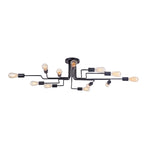 Lampa sufitowa Maytoni Gilbert IP20 12xE27 T532CL-12B | Czarny