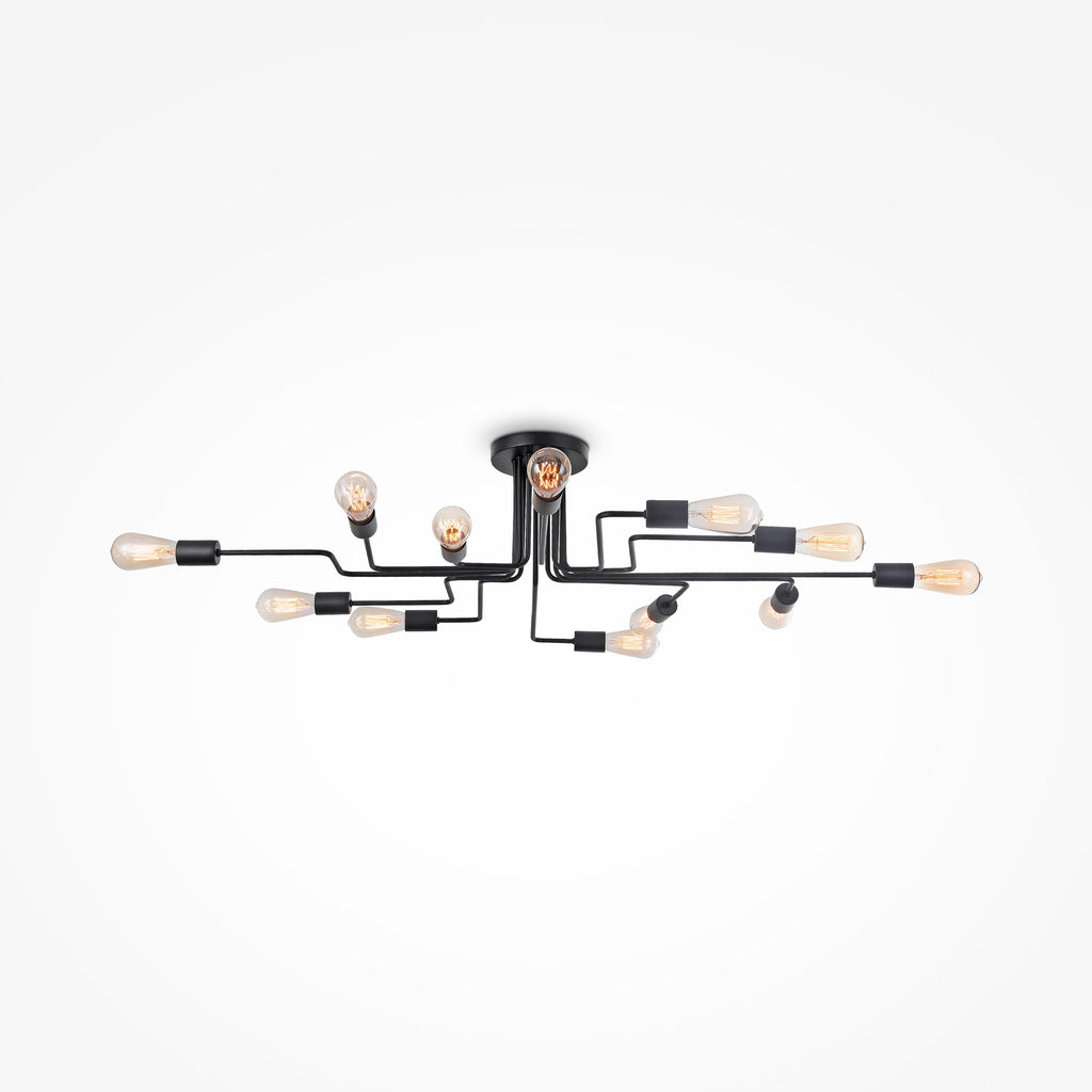 Lampa sufitowa Maytoni Gilbert IP20 12xE27 T532CL-12B | Czarny