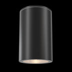 Lampa sufitowa Outdoor Roll IP54 1xGU10 O307CL-01B | Czarny