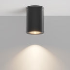 Lampa sufitowa Outdoor Roll IP54 1xGU10 O307CL-01B | Czarny