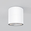 Lampa sufitowa Outdoor Spin IP54 x O310CL-L12W3K | Biały
