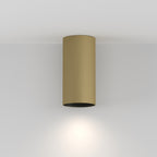 Lampa sufitowa Technical Artisan IP20 1xGU10 C080CL-01-GU10-MG | Matowe złoto