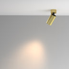 Lampa sufitowa Technical Calipso IP20 1xGU10 C108CL-01-GU10-BS | Mosiądz