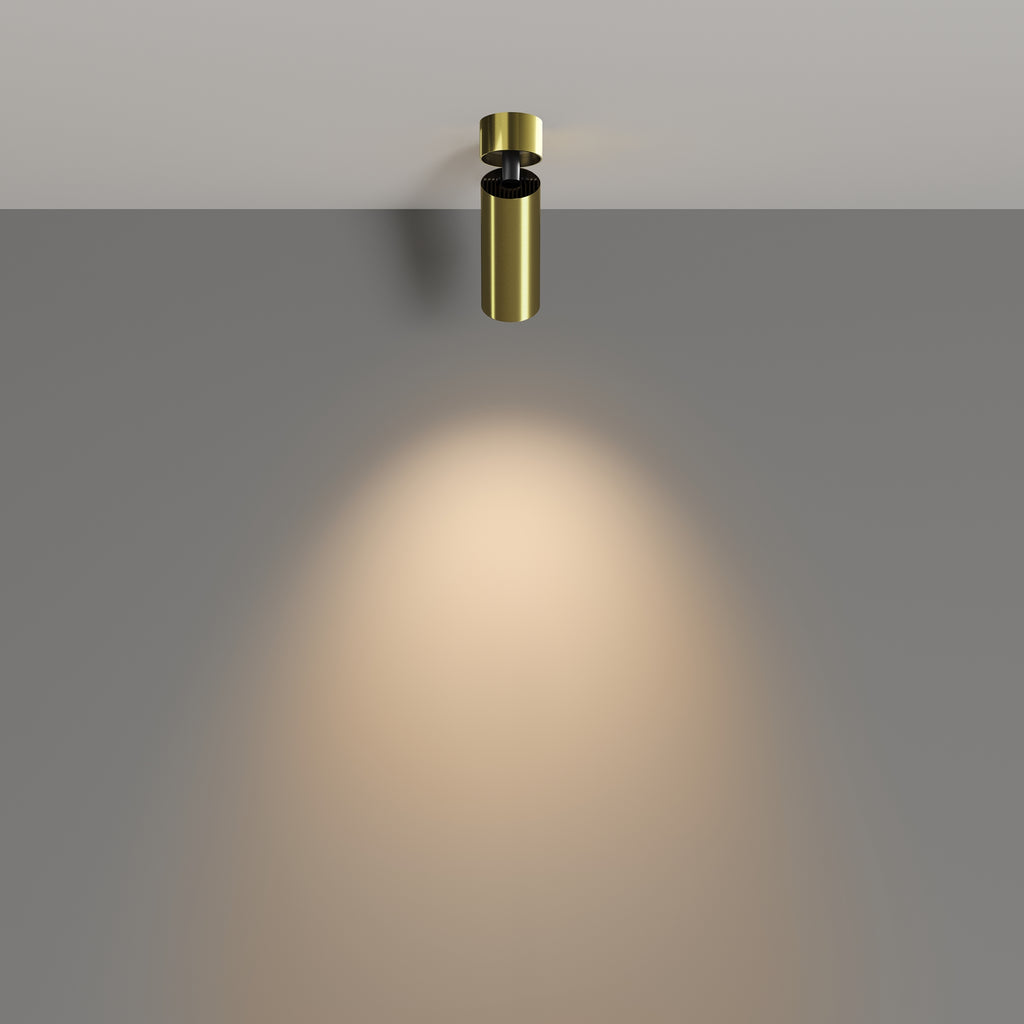Lampa sufitowa Technical FOCUS LED IP20 x C055CL-L12W3K-W-BS | Mosiądz
