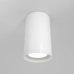 Lampa sufitowa Technical FOCUS S IP20 1xGU10 C052CL-01W | Biały