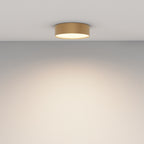 Lampa sufitowa Technical Zon IP20 x C032CL-24W3K-RD-MG | Matowe złoto