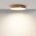 Lampa sufitowa Technical Zon IP20 x C032CL-45W3K-RD-MG | Matowe złoto