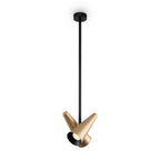 Lampa wisząca Maytoni Giro IP20 2xGU10 MOD095PL-02BS | Mosiądz