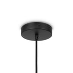 Lampa wisząca Maytoni Roots IP20 1xE27 MOD197PL-01W1 | Czarny