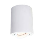 Oprawa natynkowa TULON, biała, 1x50W GU10