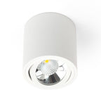 Oprawa sufitowa spot tuba SASARI RO 15W ciepła 3000K biały śr. 16cm | oxyled-OXY DLN15 36 3K R