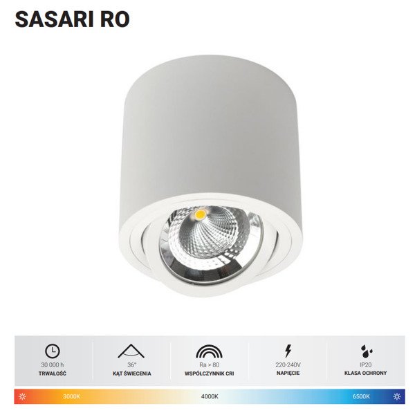 Oprawa sufitowa spot tuba SASARI RO 15W ciepła 3000K biały śr. 16cm | oxyled-OXY DLN15 36 3K R