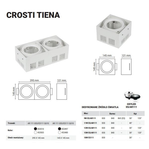 Oprawa wpuszczana downlight CROSTI TIENA DUE biały szer. 29,5x14,5cm | oxyled-OXY-AR155310
