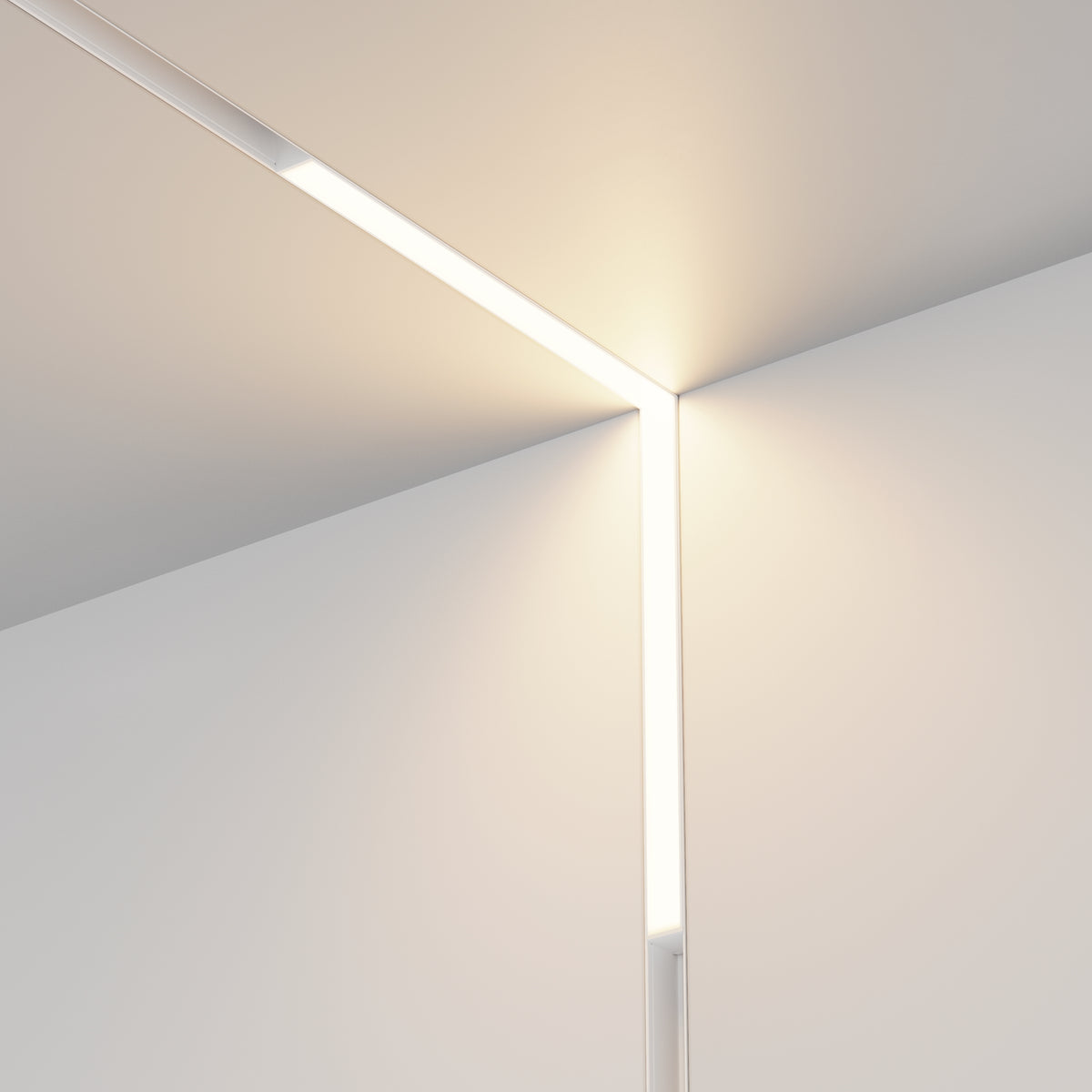 Oświetlenie szynowe Technical Basis Angle IP20 x TR102-24W-DS-W | Biały