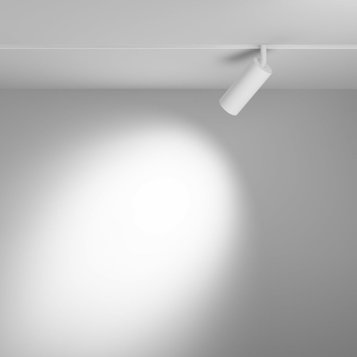 Oświetlenie szynowe Technical Focus LED IP20 x TR032-2-12W4K-S-W | Biały