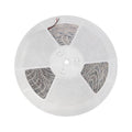 PASEK LED 35W/5m 3528 120LED/1m NW 2 LATA ECO 1M(ROLKA 30M) BEZ OSŁONY