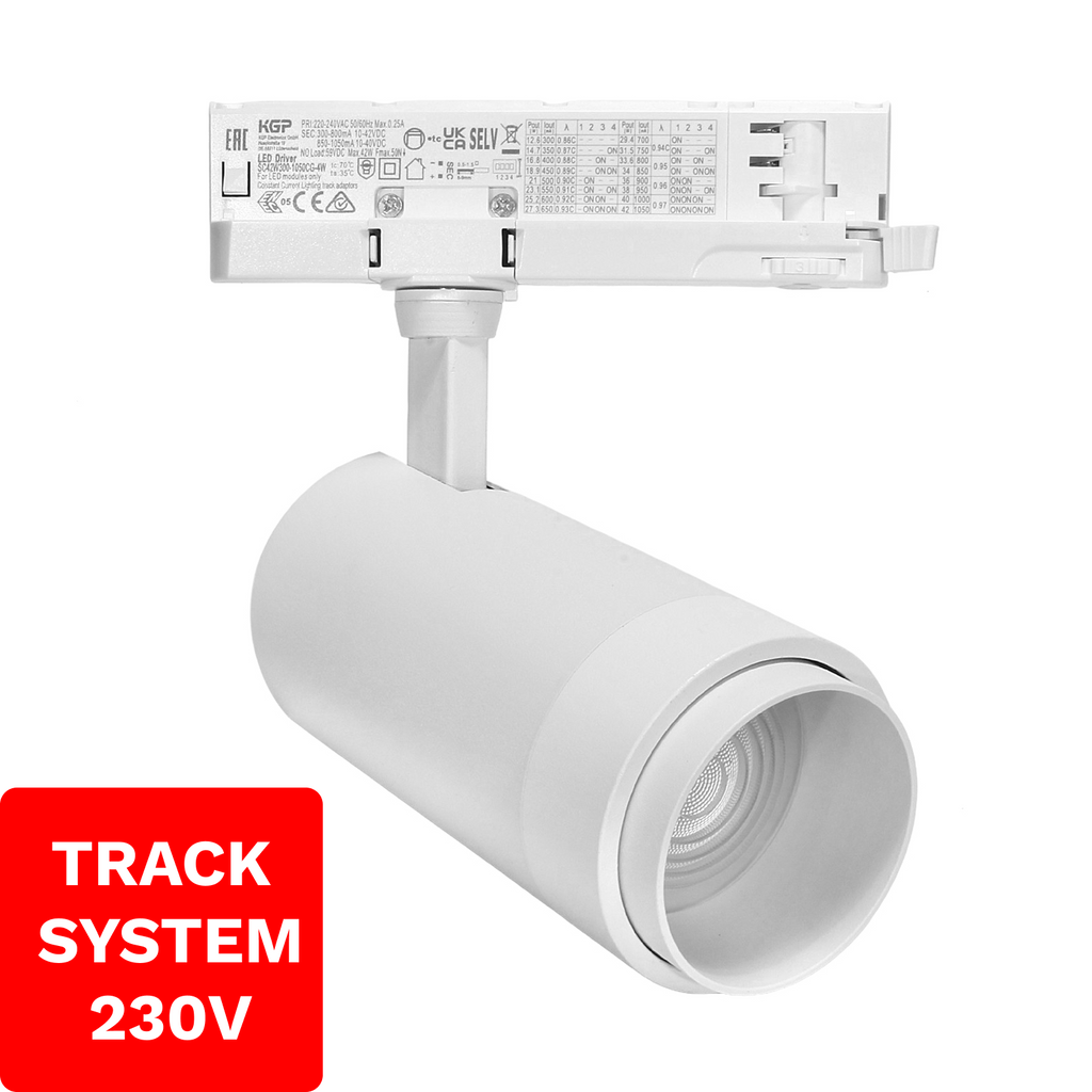 Reflektor Szynowy Zoom TRACK SYSTEM DD-04 230V 10W-30W  4000K Biały 3 fazowy 230V | DML1590
