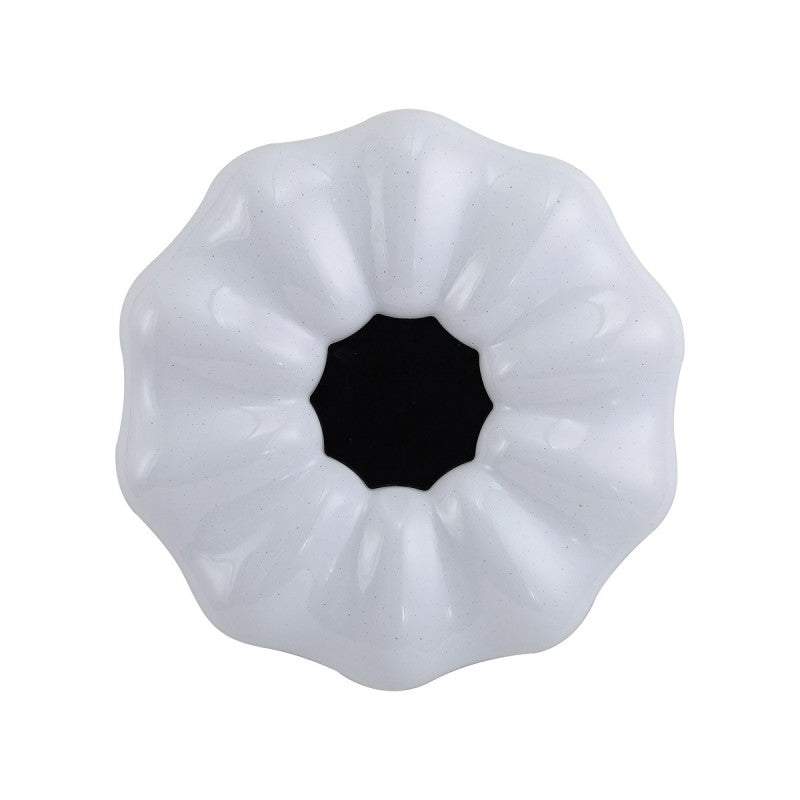 Sonia PLF 45372 M CL