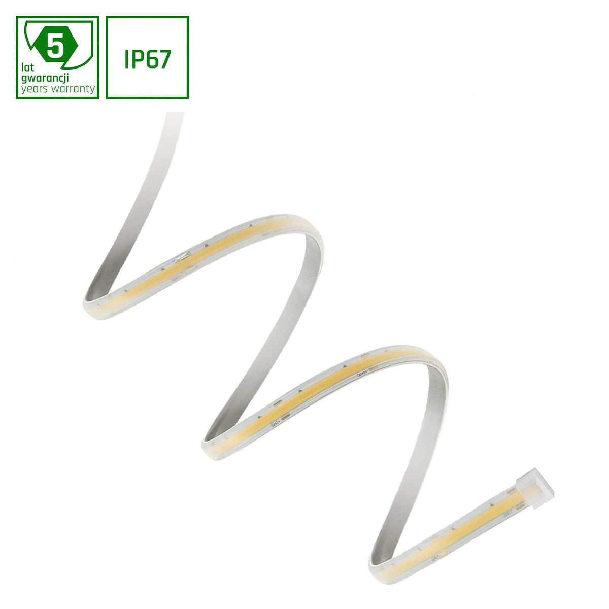 Taśma LED COB w silikonie 24V 7.5W/1m IP67 rolka 5m | biała ciepła