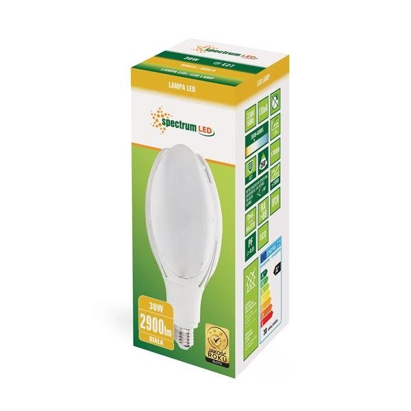 Żarówka do opraw ulicznych LED PARISIENNE 30W E-27 IP20 4000K